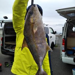 船ジギング釣り果